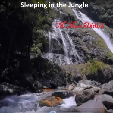 Sleeping In The Jungle - Mert Aktürk