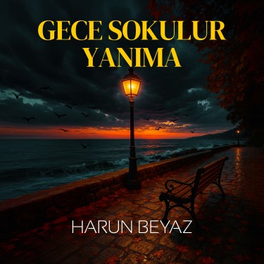 Gece Sokulur Yanıma - Harun Beyaz