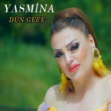 Dün Gece - Yasemin Aracı