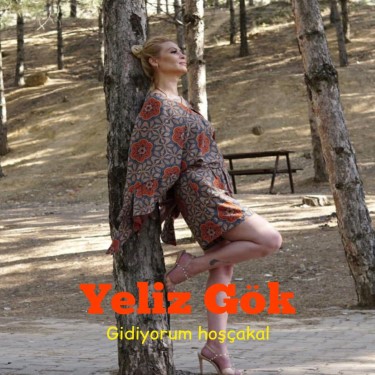Hoşçakal - Yeliz Gök