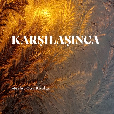 Karşılaşınca - Mevlüt Can Kaplan