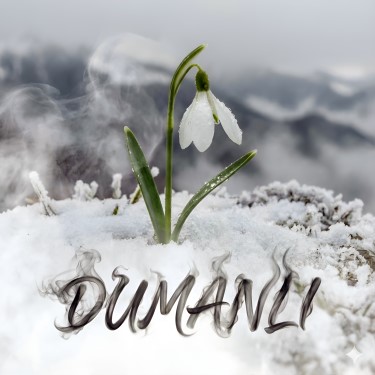 Dumanlı - Güncel Paylaşımlar TV