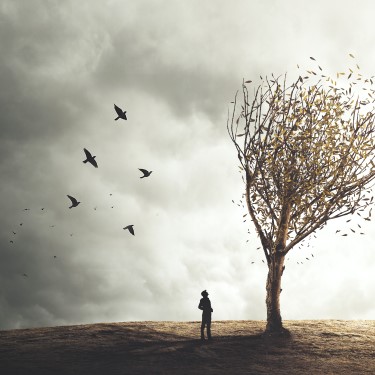 Göçmen Kuşlar - Fikret Hasani