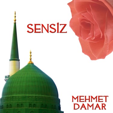 Sensiz - Mehmet Damar