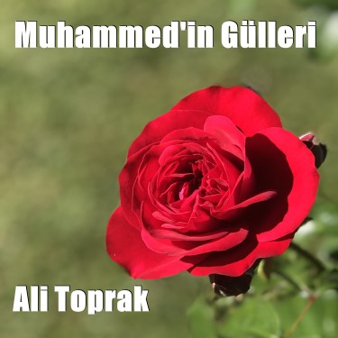 Muhammed'in Gülleri - Ali Toprak