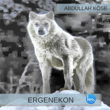 Ergenekon - Abdullah Köse