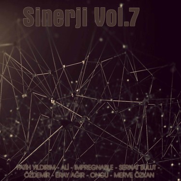 Sinerji Vol 7 - Çeşitli Sanatçılar