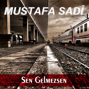 Sen Gelmezsen - Mustafa Sadi Karakaş