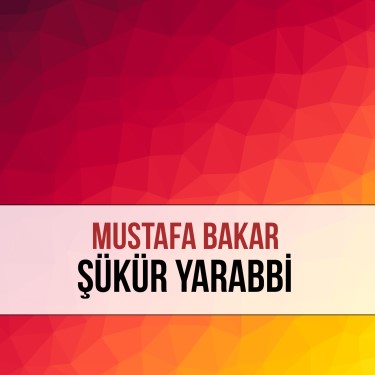 Şükür Ya Rabbi - Mustafa Bakar