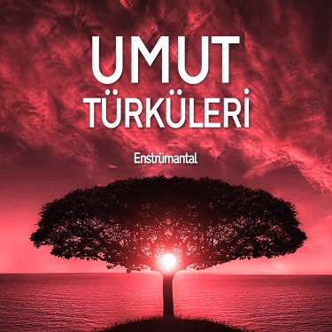Umut Türküleri - Hasan Enes