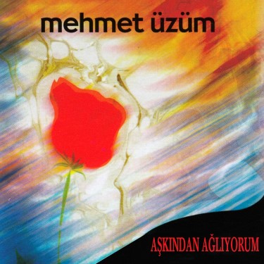 Aşkından Ağlıyorum - Mehmet Üzüm