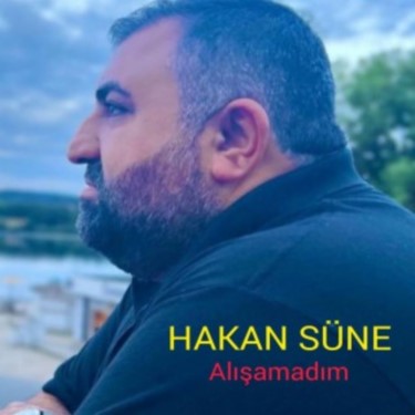 Alışamadım - Hakan Süne