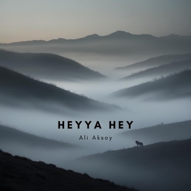 Heyya Hey - Ali Aksoy